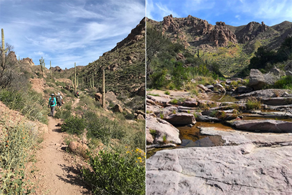 hikers