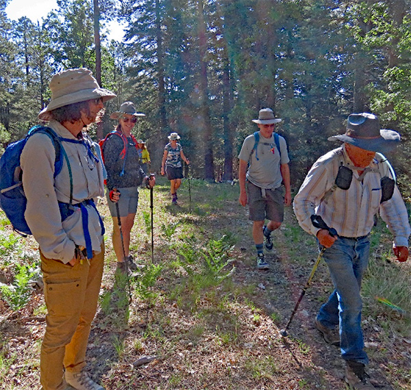hikers