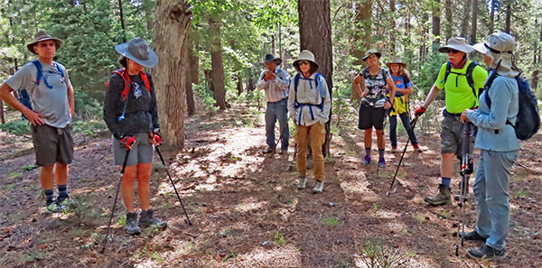 hikers
