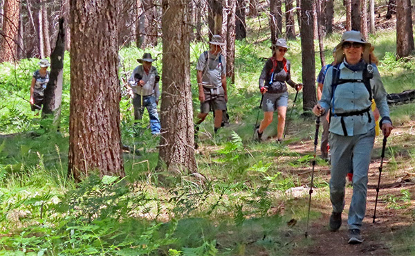 hikers