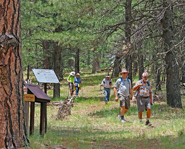 hikers
