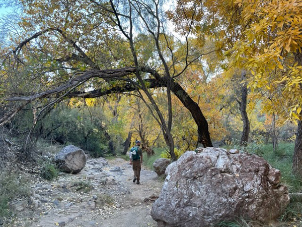 hiker