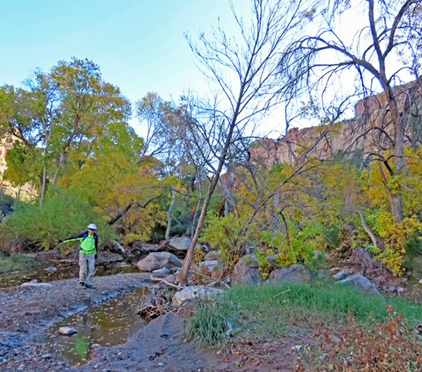 hikers