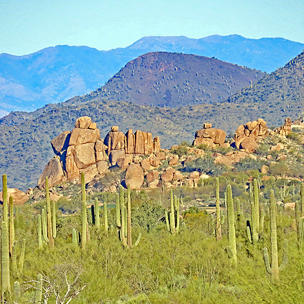 view