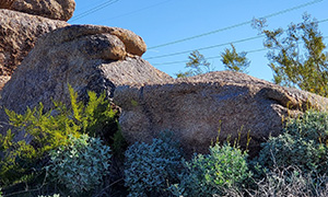 rock