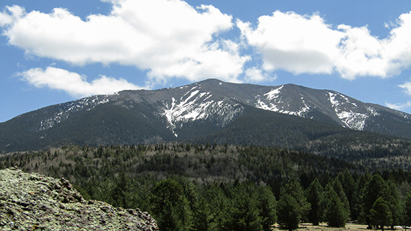 view
