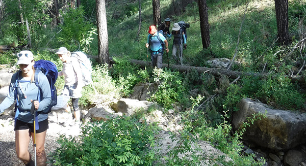 hikers