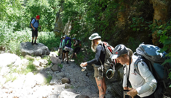 hikers