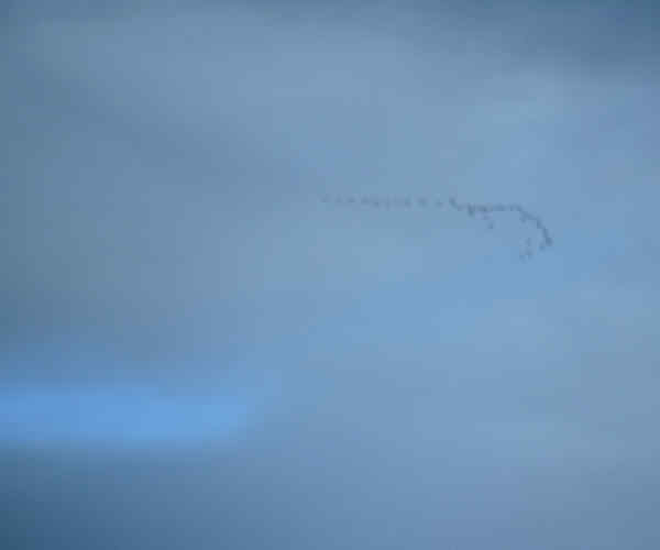 Formation