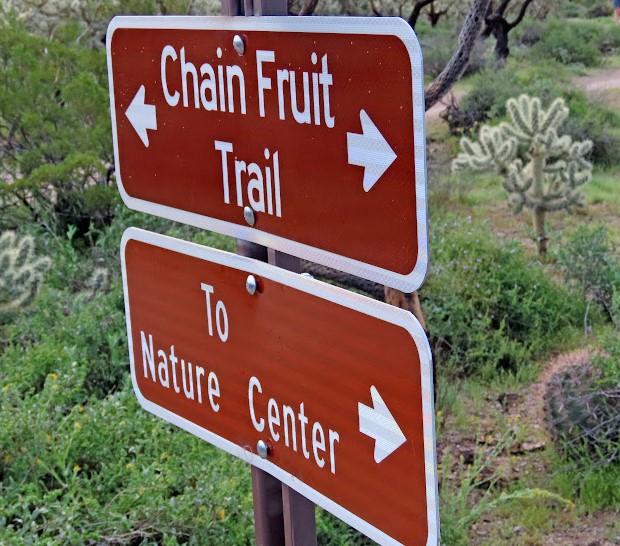 Chain
