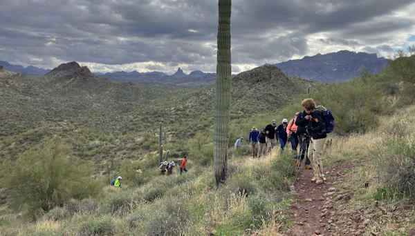 Trail