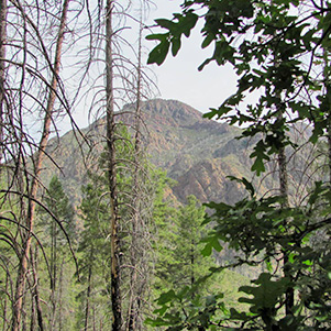 T48_03_Mazatzal_Peak