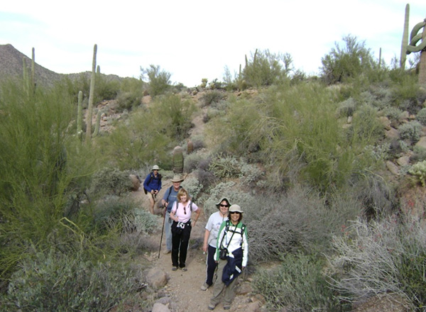 trail