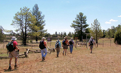 hikers