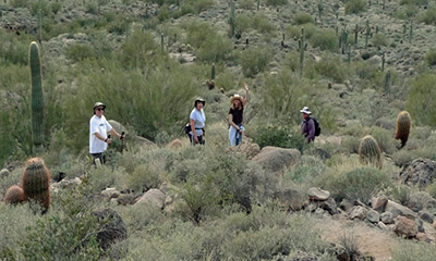 trail