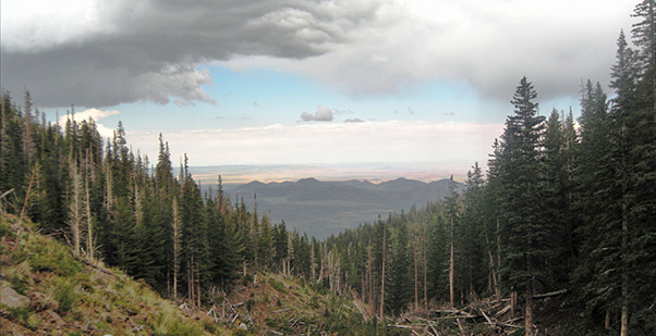 view