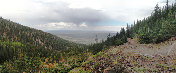 view
