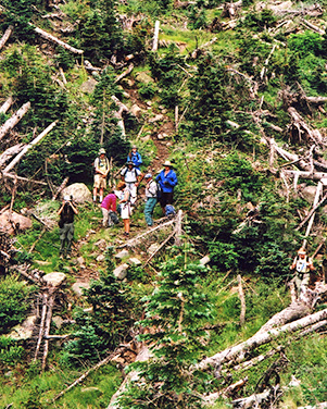 hikers
