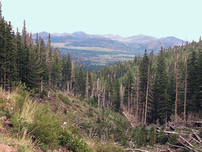 view