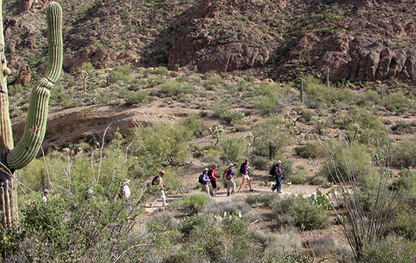 Arizona Trailblazers - Trip Report