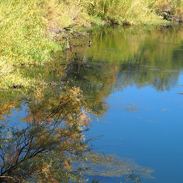 water
