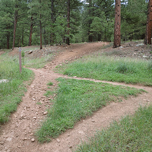 trail