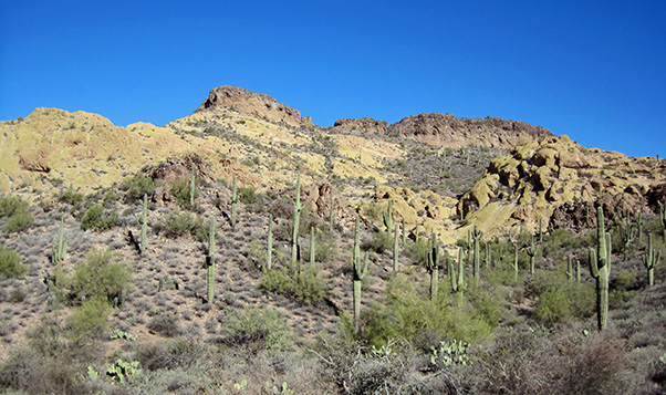 hill