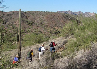 hikers