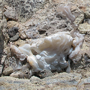 rocks