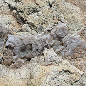 rocks