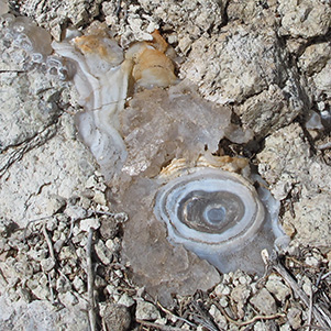 rocks