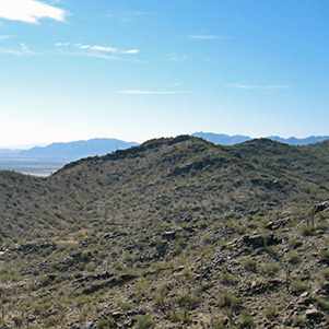 west