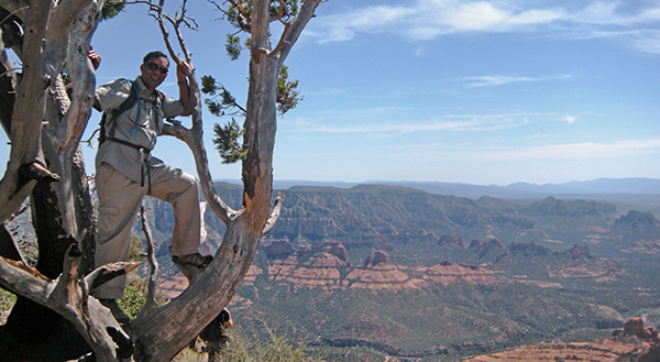 Ajay_in_Tree