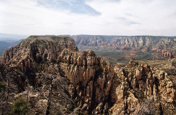 view