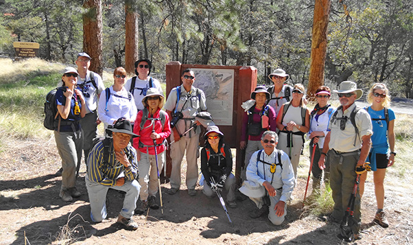 group