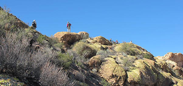 lookout