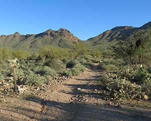 trail
