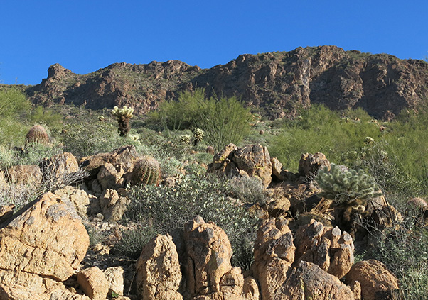 rocks