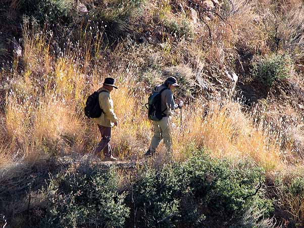 hikers