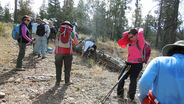 hikers
