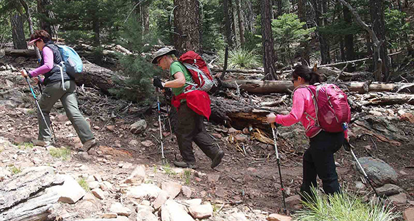 hikers