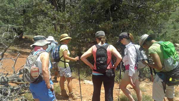 hikers