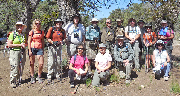 group