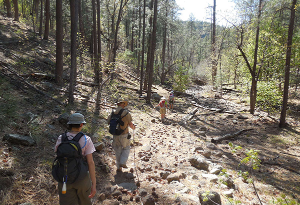 hikers