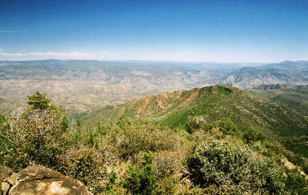 top
