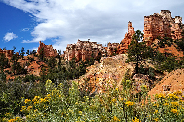 Bryce_Hoodoos_Wayne