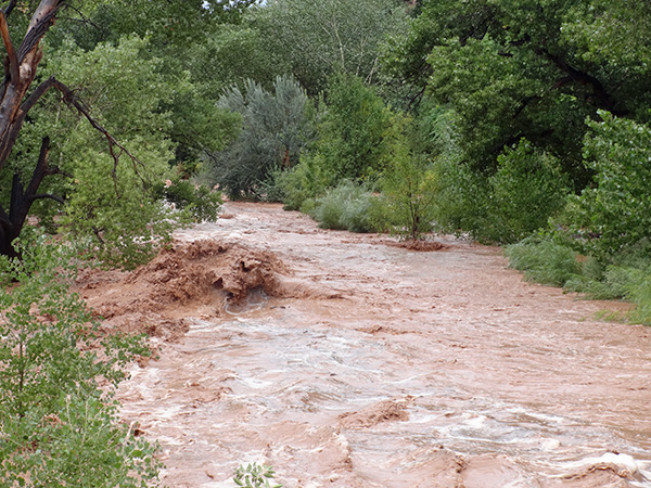 flood