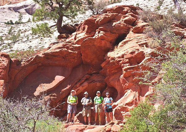 hikers