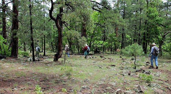 AzTrailHikers
