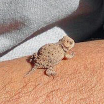 tiny
